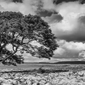 Yorkshire Dales Landscape