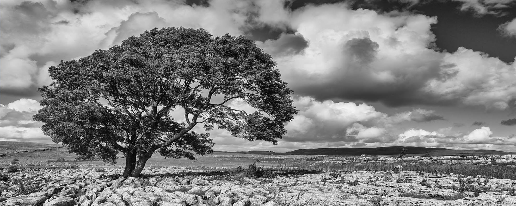 Yorkshire Dales Landscape